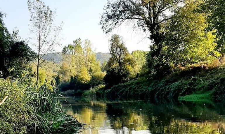 Bozhane Köyü Kamp Alanı