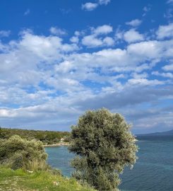 Huzur Kamp