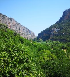 Kayacı Vadisi (Lamos Kanyonu) Kamp Alanı