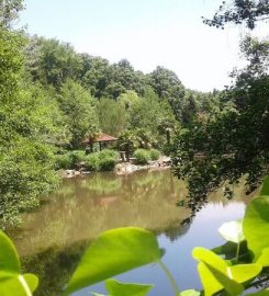 Polonezköy Tabiat Parkı Kamp Alanı