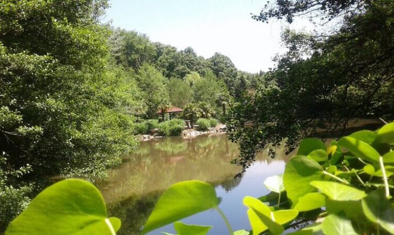 Polonezköy Tabiat Parkı Kamp Alanı