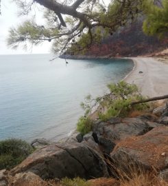 Prens Charles (Gökçevlik) Koyu Kamp Alanı