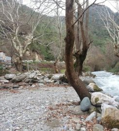 Beşikgöl Yaylası Mesire Ve Kamp Alanı