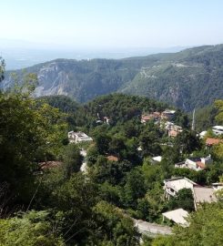 Dörtyol Çökek Yaylası Kamp Alanı