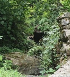 Dörtyol Çökek Yaylası Kamp Alanı