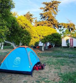 Ecofarm Camp & Hostel