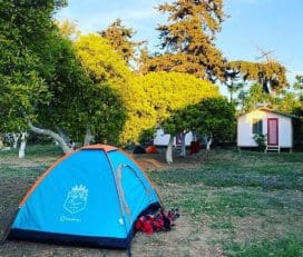 Ecofarm Camp & Hostel
