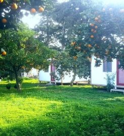 Ecofarm Camp & Hostel