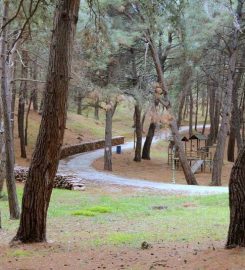 Gümüşkum Tabiat Parkı Kamp Alanı