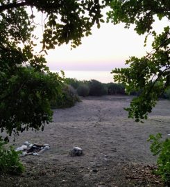 Talat Göktepe Tabiat Parkı Kamp Alanı