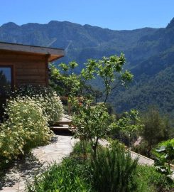 Kabak Avalon Bungalows