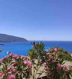 Kabak Avalon Bungalows