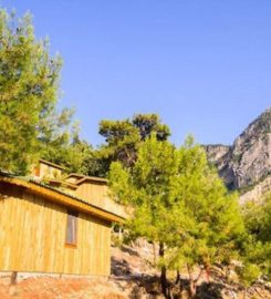 Tree House Kabak