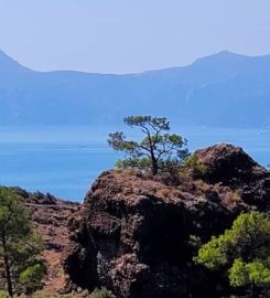 Balıkaşıran Koyu Kamp Alanı