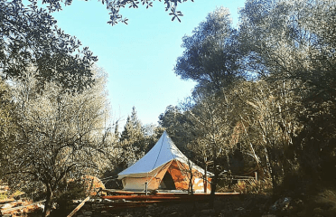Base Camping