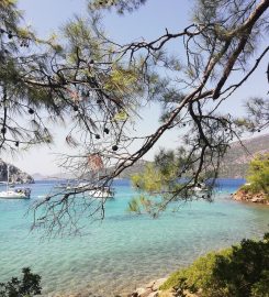 Sığ Liman Glamping Beach