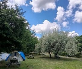 Bağtur Aile Camping