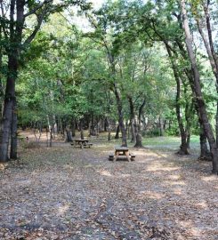 Çamlıköy Tabiat Parkı Kamp Alanı