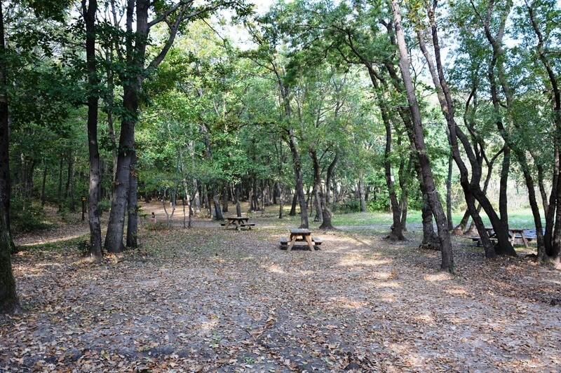 Çamlıköy Tabiat Parkı Kamp Alanı