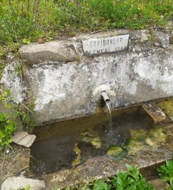 Ganos Dağı Kamp Alanı