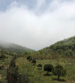 Kartaltepe Tabiat Parkı Kamp Alanı