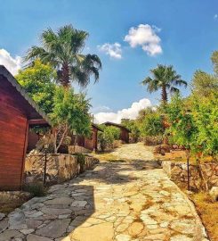 Olympos Selvim Bungalows