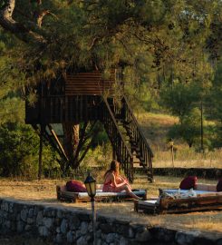 Olympos Woods Bungalow & Camping