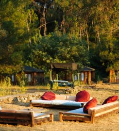 Olympos Woods Bungalow & Camping