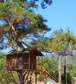 Olympos Woods Bungalow & Camping