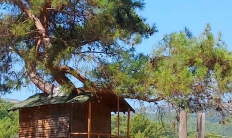 Olympos Woods Bungalow & Camping