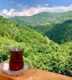 Doğançay Şelalesi Kamp Alanı