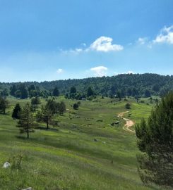 Soğucak Yaylası Kamp Alanı