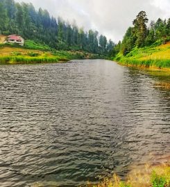 Turnalık Yaylası Kamp Alanı