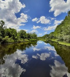 Acarlar Longozu Bungalov Evleri