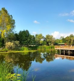 Acarlar Longozu Bungalov Evleri