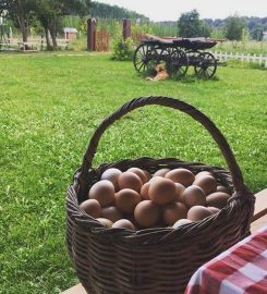 Baran Organik Yaşam Çiftliği