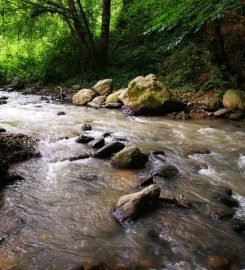 Kuzuluk Tabiat Parkı Kamp Alanı