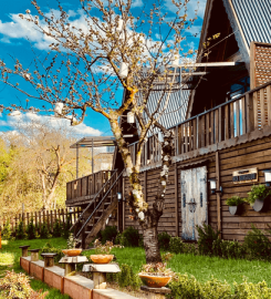 Sapanca İnce Bungalow