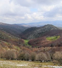 Beşpınar Yaylası Kamp Alanı