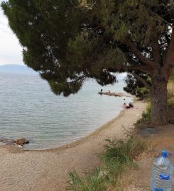 Deniz Atı Camping