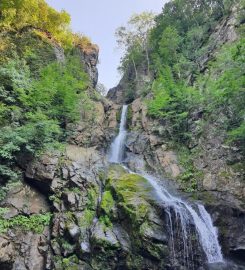 Yalova Kent Ormanı Kamp Alanı