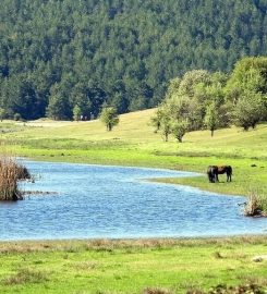 Buldan Yayla Gölü Kamp Alanı