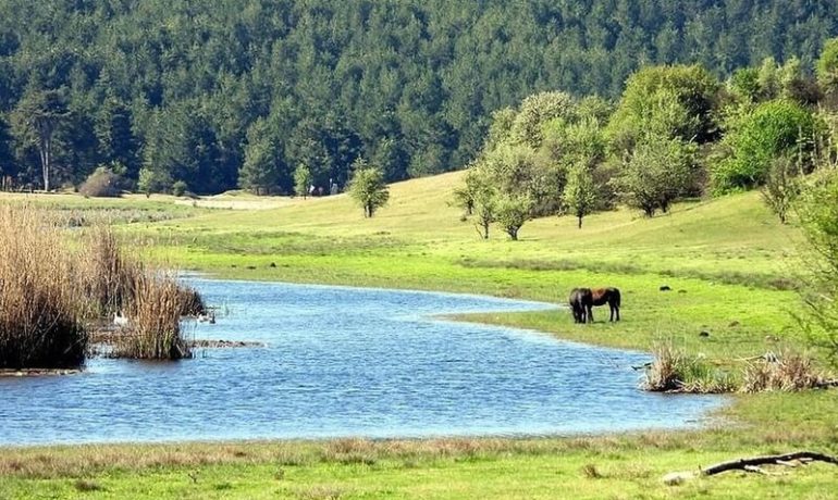 Buldan Yayla Gölü Kamp Alanı