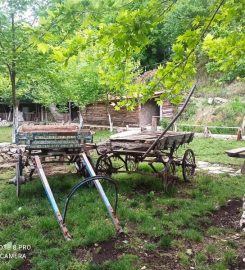 Güney Şelalesi Kamp Alanı