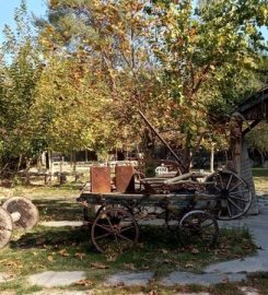 Güney Şelalesi Kamp Alanı