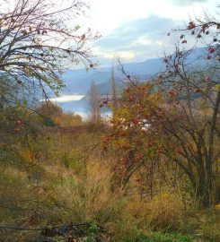 Güney Şelalesi Kamp Alanı