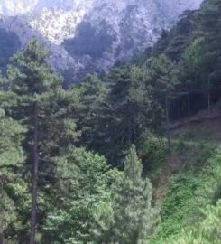 Kıranyer Kamp Alanı