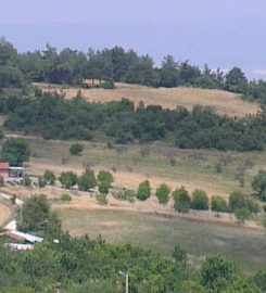 Kıranyer Kamp Alanı