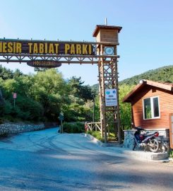 Mesir Tabiat Parkı Kamp Alanı