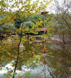 Mesir Tabiat Parkı Kamp Alanı